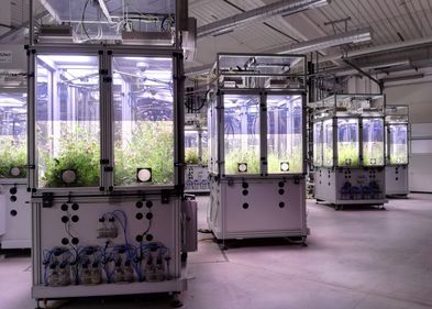The iDiv Ecotron consists of several controlled mini-ecosystems, so-called EcoUnits. Picture: Anja Schmidt The iDiv Ecotron consists of several controlled mini-ecosystems, so-called EcoUnits. Picture: Anja Schmidt