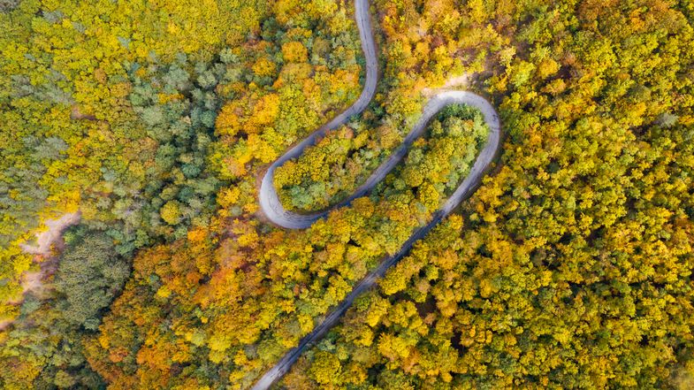 Neuere geostationäre Satelliten verfügen über die passende technische Ausstattung für die Vegetationsbeobachtung aus dem Weltall.