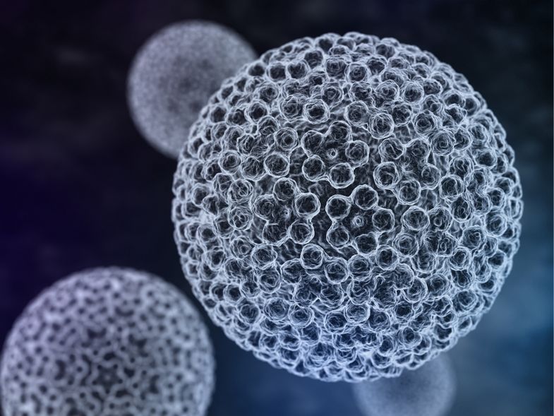 hpv ursachen)