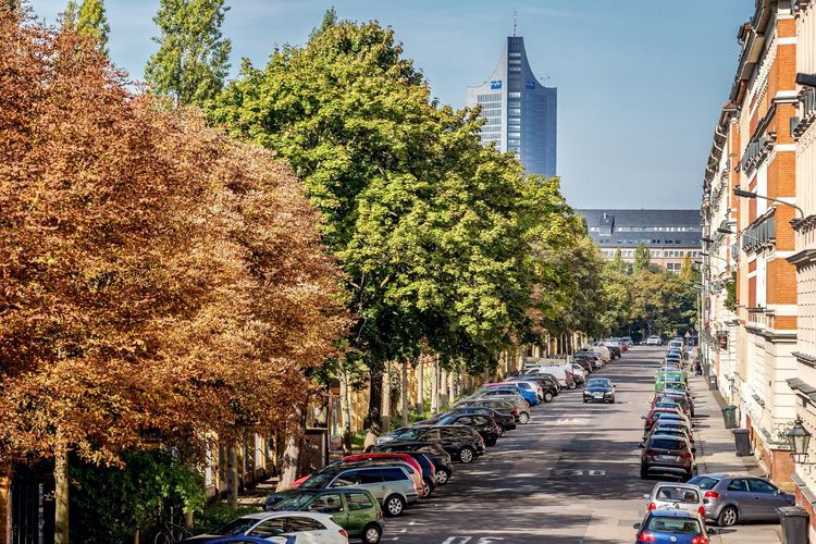 Mehr Straßenbäume in Städten (hier im Leipziger Stadtzentrum) können dazu beitragen, die psychische Gesundheit, das lokale Klima, die Luftqualität und den Artenreichtum zu verbessern.