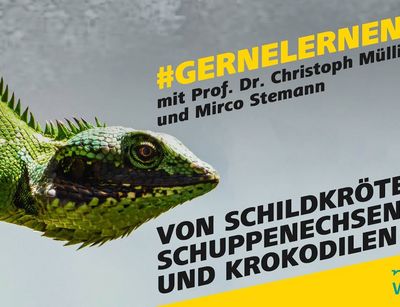 Von Schildkröten, Schuppenechsen und Krokodilen #gernelernen mit MDR Wissen MDR