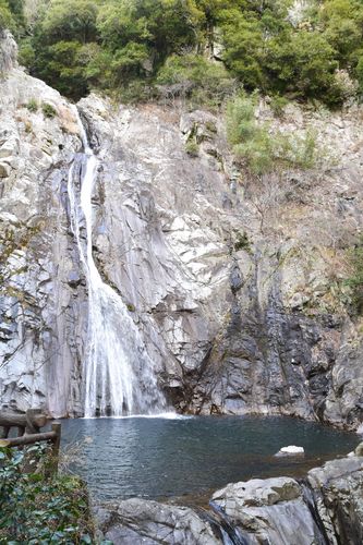 Ein schmaler Wasserfall fließt von einem Felsen hinunter in einen kleinen See hinein. Der Felsen ist mit Bäumen bewachsen.