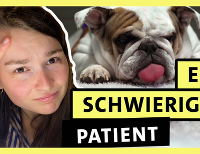 Tiermedizin studieren: Hannas langer Weg zum Traumjob alpha Uni