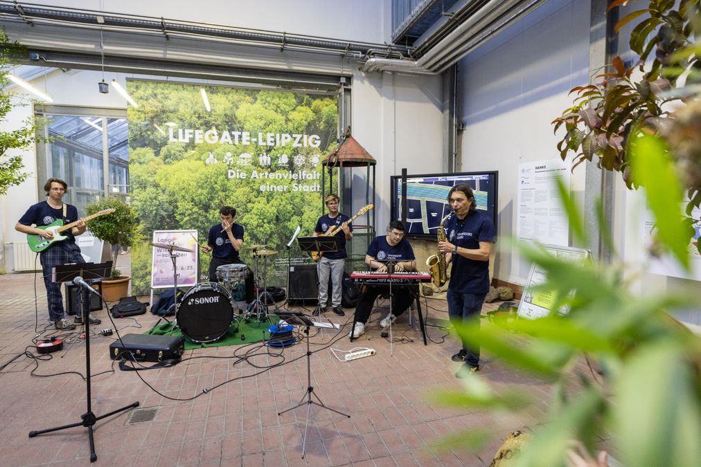 zur Vergrößerungsansicht des Bildes: Sechs Musiker mit Saxofon, Keyboard, zwei Gitarren und Schlagzeug bei einem Auftritt.