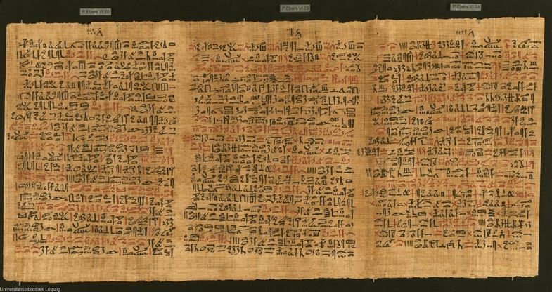 Beim Papyrus Ebers handelt es sich um die älteste medizinische Schriftrolle der Welt (hier zu sehen: die Kolumnen 24 bis 26).