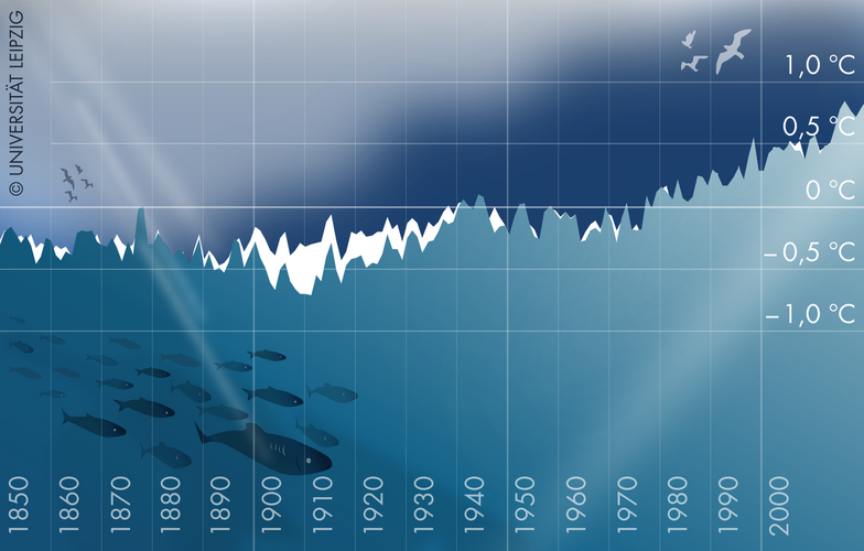 Illustration of the reconstructions of global mean temperature based only on land air temperature measurements (white curve), and ocean surface temperature measurements (blue curve). The new study demonstrates the long-term consistency of both curves, and analyses the deviations in the 1900 to 1930 time period. Graphic: Leipzig University