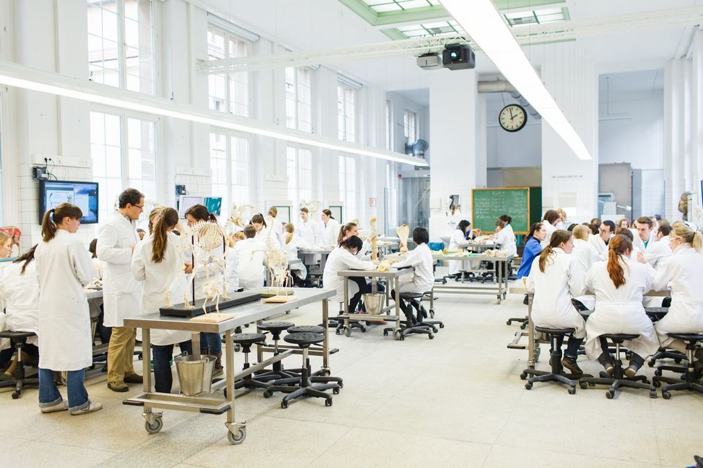 enlarge the image: Studierende der Veterinärmedizin bei einer Übung im Labor