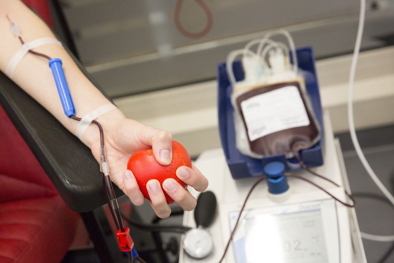 Eine gute Vorbereitung ist beim Blutspenden das A und O: Dann steht einer lebensrettenden Blutspende auch bei hohen Außentemperaturen nichts im Wege.