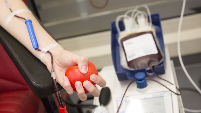 Eine gute Vorbereitung ist beim Blutspenden das A und O: Dann steht einer lebensrettenden Blutspende auch bei hohen Außentemperaturen nichts im Wege.