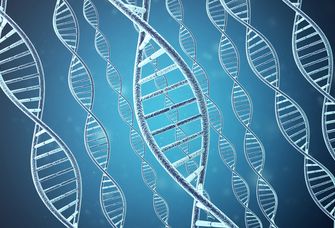 In der aktuellen Studie wurden die DNA-Analysen von 16.790 Patient:innen und 32.476 Kontrollpersonen eingeschlossen.