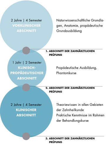 Diese Grafik zeigt den Aufbau des Staatsexamens Zahnmedizin. Der Aufbau ist auch im Textteil beschrieben.