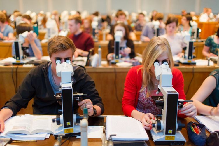 Studierende schauen in ein Mikroskop, das an ihrem Platz steht, Foto: Christian Hüller 