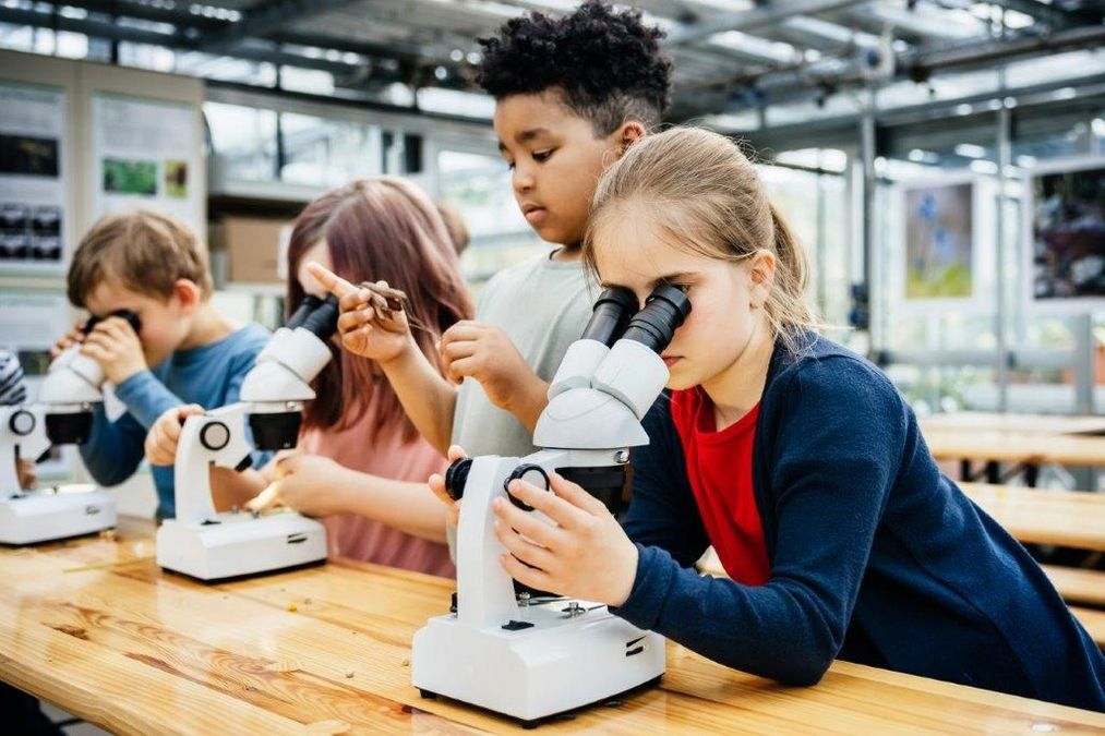 zur Vergrößerungsansicht des Bildes: Zwei Mädchen und zwei Jungen betrachten durch Mikroskope in einem Arbeitsraum Pflanzenteile. Eines der Kinder betrachtet etwas aus Holz.