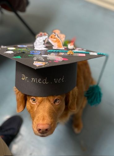 A detail from the doctoral defence; Photo: Anika Lüttig