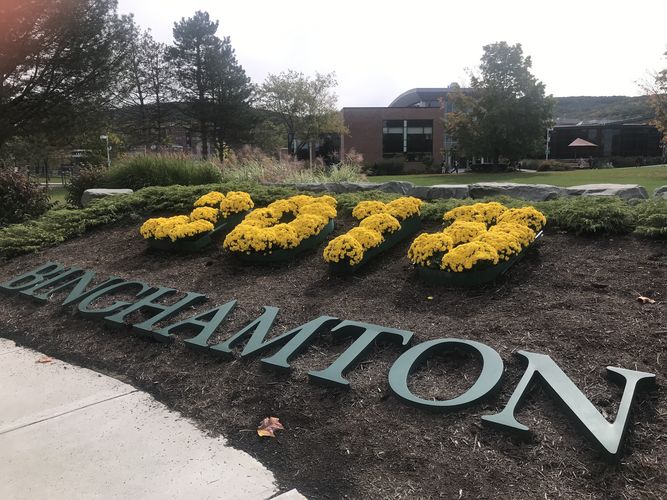 Zu sehen ist ein Blumenbeet. Gelbe Blumen formen eine Jahreszahl, die nicht lesbar ist. Darunter steht in Holzbuchstaben "Binghampton."