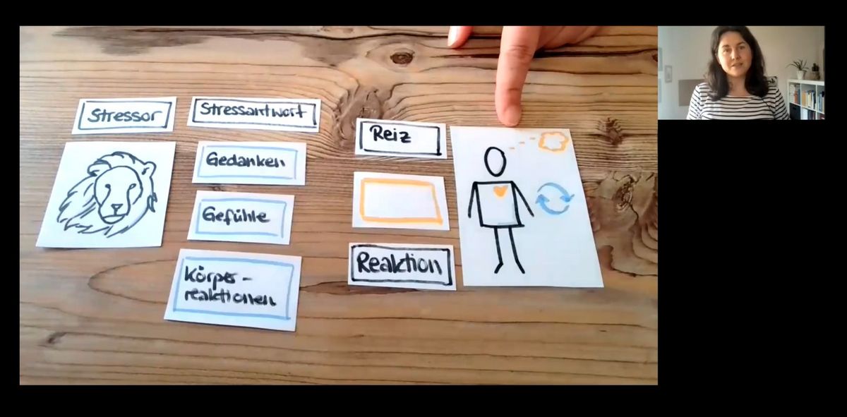 zur Vergrößerungsansicht des Bildes: Screenshot einer Videokonferenz mit Ansicht der Rednerin und eines Tisches mit Stichworten zum Thema Stress und Stressreaktion auf Zetteln.