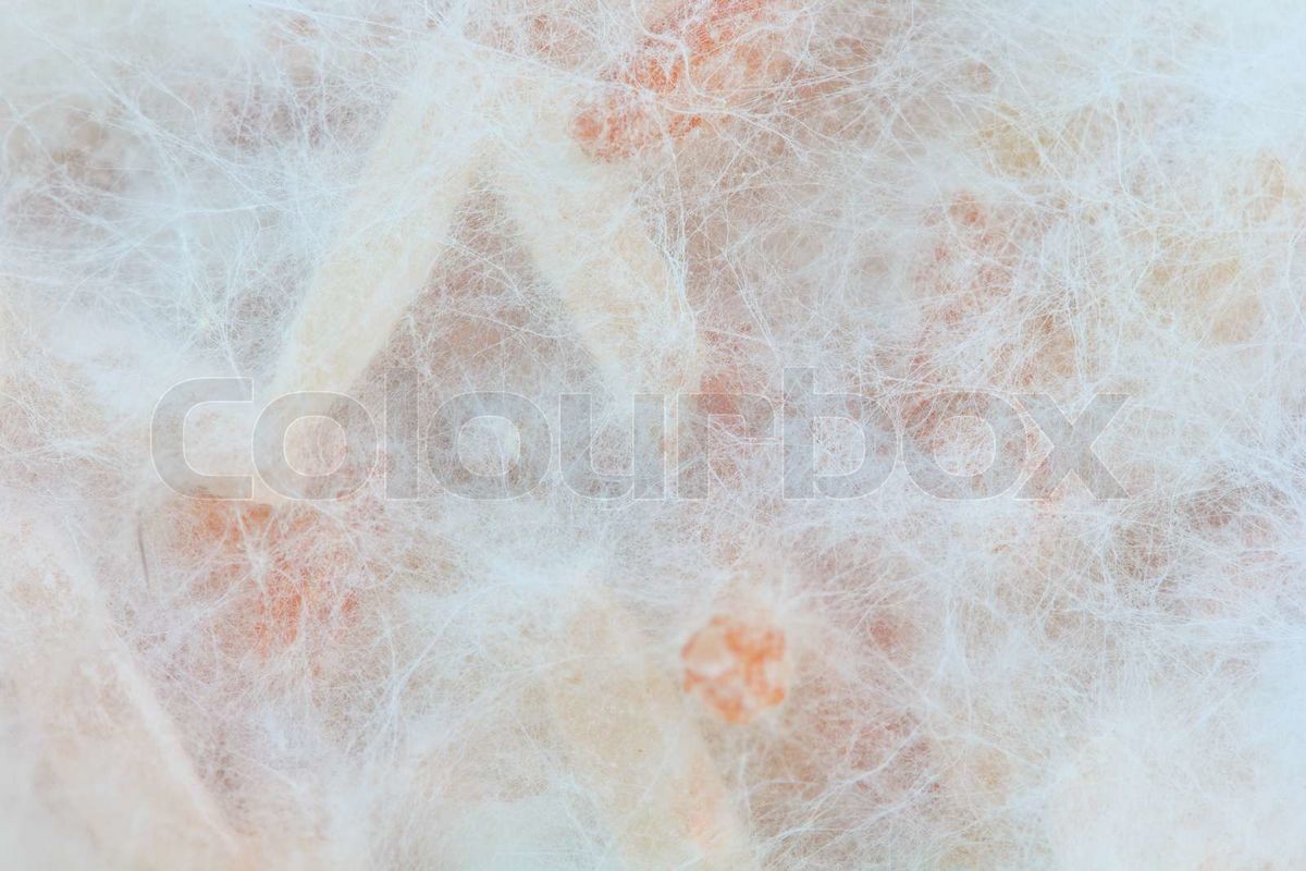 Farbige Fotografie eines Spinnenetz-artigen Gewebes