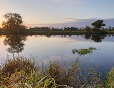 Sonnenuntergang an der Havel. Es ist die Havel zu sehen, am Rand stehen Bäume und Büsche. 