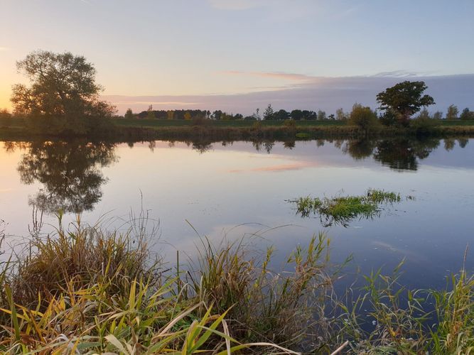 Sonnenuntergang an der Havel. Es ist die Havel zu sehen, am Rand stehen Bäume und Büsche. 