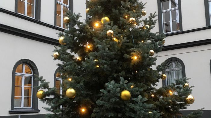 Auf dem Bild ist der geschmückte Weihnachtsbaum im Ritterstraßenkomplex zu sehen.