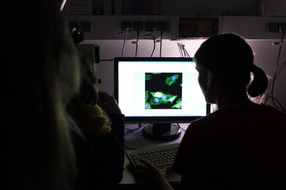 zur Vergrößerungsansicht des Bildes: Forschungsarbeit in der Graduiertenschule „Matrixengineering“. Foto: Anett Albrecht