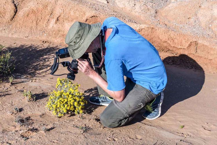 Nicht nur durch moderne Genomsequenzierung – auch in der Natur sucht Dr. Martin Freiberg immer wieder nach neuen Pflanzenarten. Foto: Wolfgang Teschner