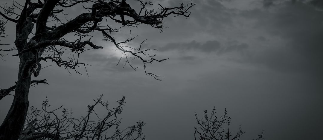 Schwarzweiß Aufnahme: im Vordergrund steht ein kahler Baum mit kantigen Ästen, im Hintergrund ist ein mit dunklen Wolken verhangener Himmel zu erkennen.