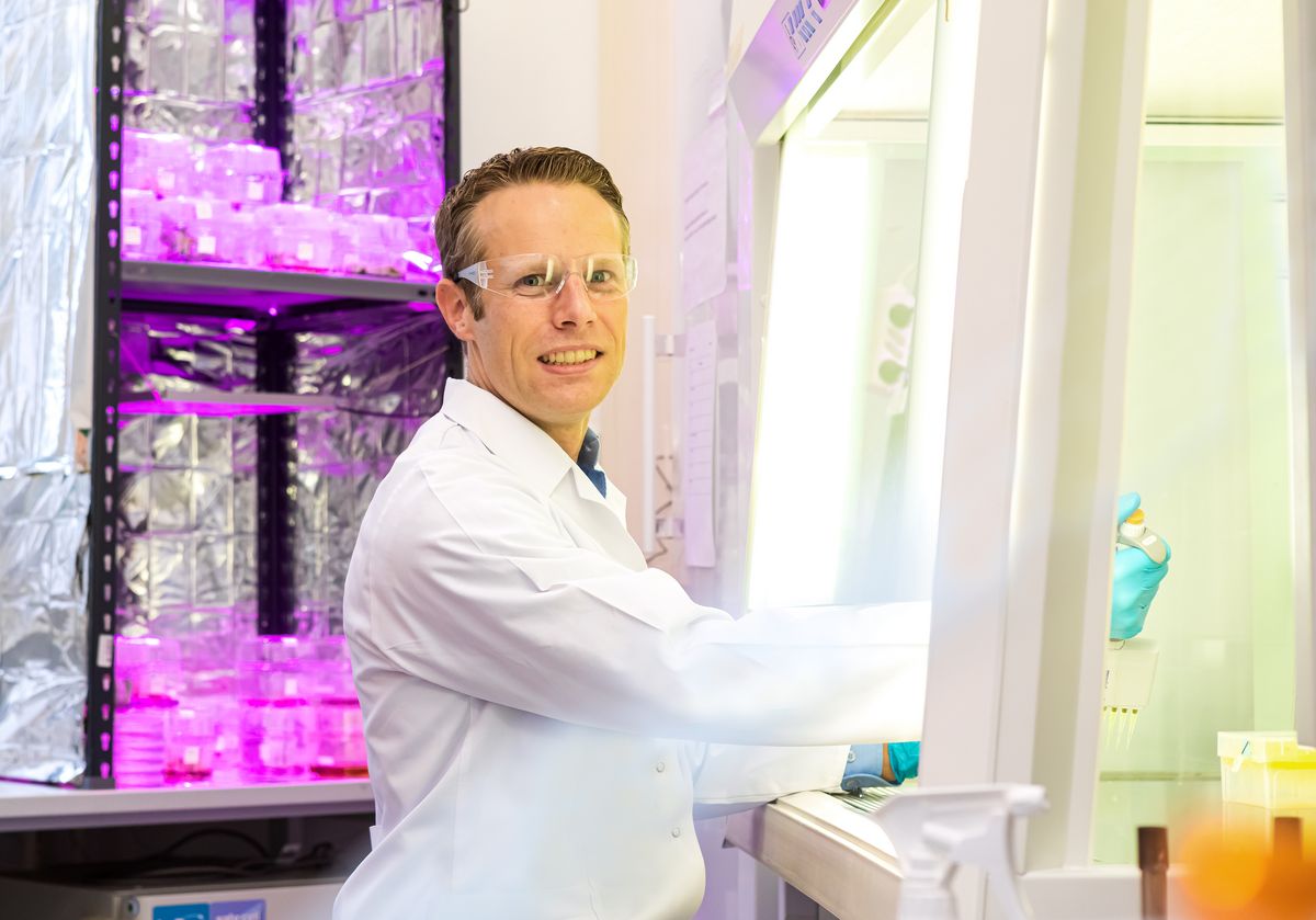 Foto: Swen Reichhold zur Vergrößerungsansicht des Bildes: Aufnahme von Dr. Torben Schiffner bei der Arbeit im Labor.