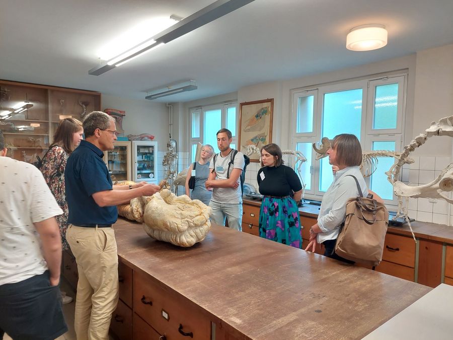 zur Vergrößerungsansicht des Bildes: Farbfoto: Förder:innen und Stipendiat:innen stehen im Institut für Anatomie an einem Darmpräparat, Institutsleiter Prof. Mülling erklärt den Gästen, wie der Darm präpariert wurde