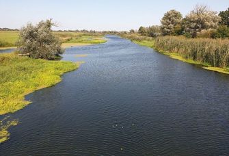 Auf den ersten Eindruck in einem naturnahen Zustand, aber seit Jahrhunderten stark durch Menschen beeinflusst: die Aue der Unteren Havel in Brandenburg.