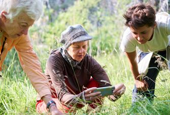 Die Ergebnisse zeigen, welches Potenzial die Nutzung von Bürgerdaten, z. B. von iNaturalist, für die Kartierung von Pflanzenmerkmalen auf globaler Ebene hat.