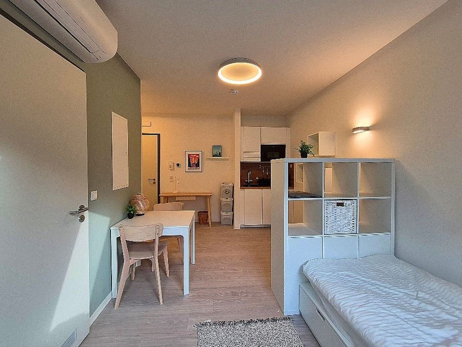 enlarge the image: Cozy apartment with air conditioning, a green accent wall, a single bed, a room divider, a dining table with two chairs, a small kitchenette, and a workspace. Photo: Thomas Biermann