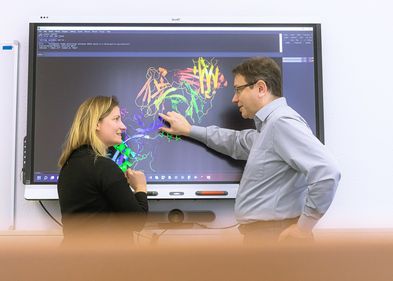 Humboldt-Prof. Dr. Jens Meiler und Projektleiterin Dr. Clara T. Schoeder analysieren Proteinstrukturen.