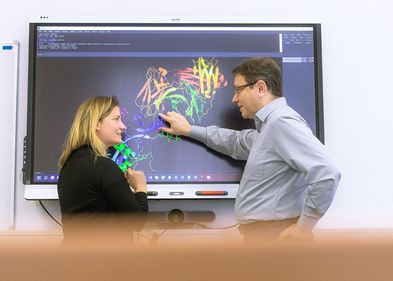 Humboldt-Prof. Dr. Jens Meiler und Projektleiterin Dr. Clara T. Schoeder analysieren Proteinstrukturen. Humboldt-Prof. Dr. Jens Meiler und Projektleiterin Dr. Clara T. Schoeder analysieren Proteinstrukturen.