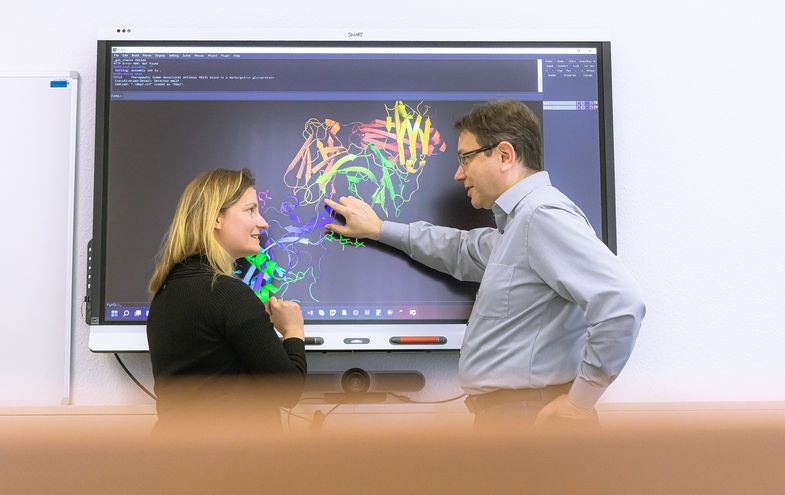 Humboldt-Prof. Dr. Jens Meiler und Projektleiterin Dr. Clara T. Schoeder analysieren Proteinstrukturen.