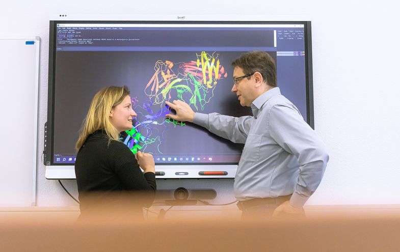 Humboldt Prof. Jens Meiler and project manager Dr. Clara T. Schoeder analyze protein structures. Photo: Swen Reichhold