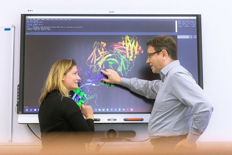 Humboldt-Prof. Dr. Jens Meiler und Projektleiterin Dr. Clara T. Schoeder analysieren Proteinstrukturen.
