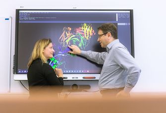 Humboldt-Prof. Dr. Jens Meiler und Projektleiterin Dr. Clara T. Schoeder analysieren Proteinstrukturen.