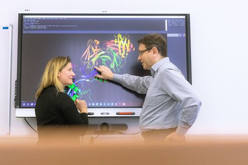 Humboldt-Prof. Dr. Jens Meiler und Projektleiterin Dr. Clara T. Schoeder analysieren Proteinstrukturen.