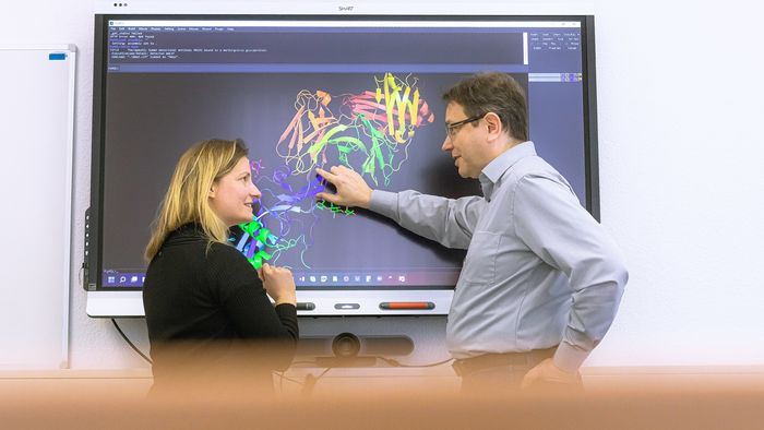 Humboldt-Prof. Dr. Jens Meiler und Projektleiterin Dr. Clara T. Schoeder analysieren Proteinstrukturen.