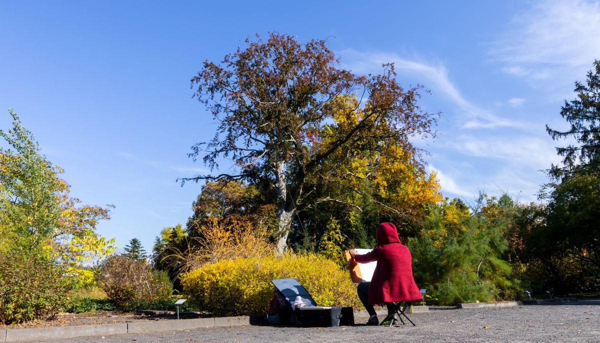 zur Vergrößerungsansicht des Bildes: Eine Studierende im rotem Mantel sitzt vor dem herbstlichen Pflanzen im botanischen Garten und zeichnet.
