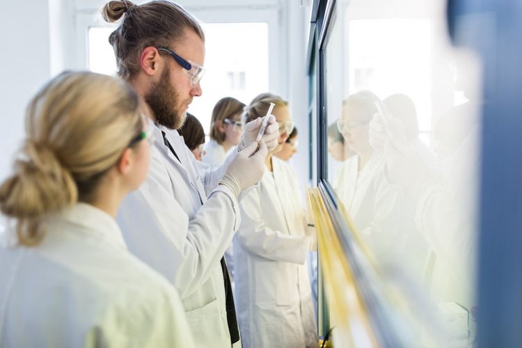 Studierende stehen vor einem Whiteboard und schauen sich eine Flüssigkeit an, Foto: Christian Hüller