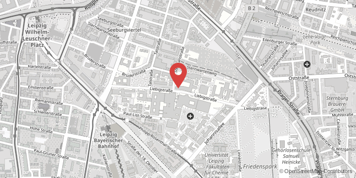 the map shows the following location: Paul Flechsig Institute of Brain Research, Liebigstraße 19, 04103 Leipzig
