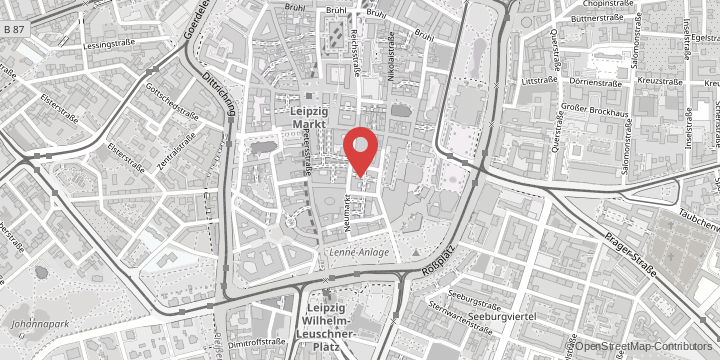 the map shows the following location: Wilhelm Wundt Institute for Psychology, Neumarkt 9, 04109 Leipzig
