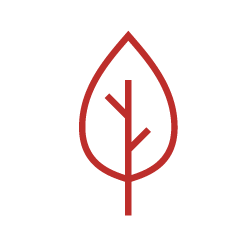 Das Icon bildet ein rotes Blatt auf weißem Hintergrund ab.
